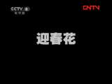 迎春花 12集