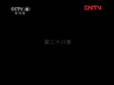 山菊花 28集