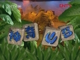 神奇山谷 88集