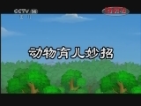 野生动物宝宝 1集
