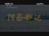 阿丕书记 12集