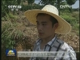 中央新闻单位赣州接受传统教育