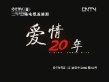 爱情二十年 20集