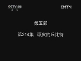 小鸡不好惹第五部 214集
