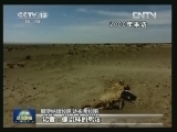【喜迎十八大 走基层•行进中国】黑河分水十年（一） ：重现生机的居延海