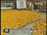 新闻联播完整版视频 20121023