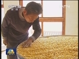 全国秋粮收购全面展开