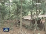 全国林权制度改革宣告基本完成