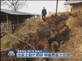 新闻联播完整版视频 20130302