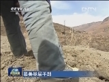 【最美基层干部】菊美多吉：百姓心中的“尼瓦”乡长