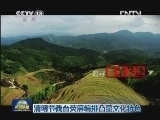 清明节我台荧屏编排凸显文化特色