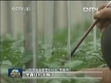 视频]山西：干部住村助农增收