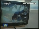 联合调查未果 台调查组返抵台湾