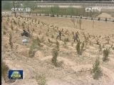 富民增绿 陕西延安退耕还林谋双赢