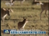 国内联播快讯