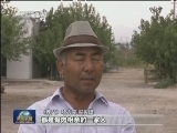 维吾尔族父母和汉族儿子的故事