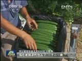 河北廊坊：工业化思路发展现代农业