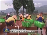 云南：特色农业引领经济跨越发展