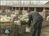 【践行核心价值观】青岛：69岁老人舍命救落水女孩