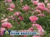 国内联播快讯
