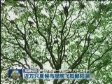国内联播快讯