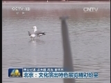 “五一”小长假·北京：文化演出特色展览精彩纷呈
