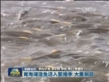 国内联播快讯