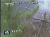 国际联播快讯
