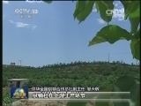 深化改革·转型活力