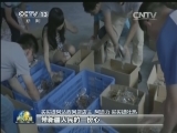 【云南鲁甸6.5级地震大救援】“切糕王子”5000公斤切糕送灾区