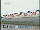 江西吉安：精准扶贫 助农增收