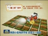 我国小麦再获丰收 实现十一连增