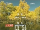 江山多娇
