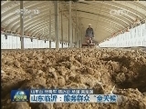 整改进行时 山东临沂：服务群众“全天候”