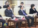 习近平同党外人士共迎新春