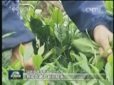 福建宁德：畲族老乡的新生活