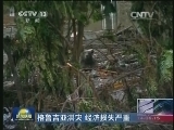 格鲁吉亚洪灾 经济损失严重