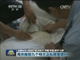 国内联播快讯