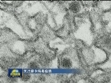 关注寨卡病毒疫情