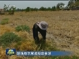 超强厄尔尼诺搅动全球