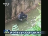 美动物园射杀大猩猩救儿童引争议