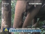 国内联播快讯