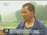陕西：人水和谐 喜看朱鹮展翅飞