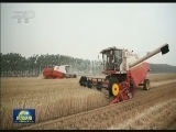 夏粮再获丰收 质量效益稳步提高