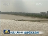 农历八月十八 钱塘观潮正当时