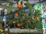 杨凌农高会开幕 高新农产品亮相
