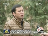 【最美基层干部】杨波：一天不脱贫 我就一天不下山
