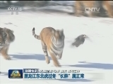 国内联播快讯