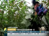 [环球财经连线]全球鲜切花消费调查 全球第二大鲜花出口国期待开发新兴市场CCTV节目官网CCTV2央视网(cctv.com)