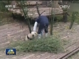 国内联播快讯